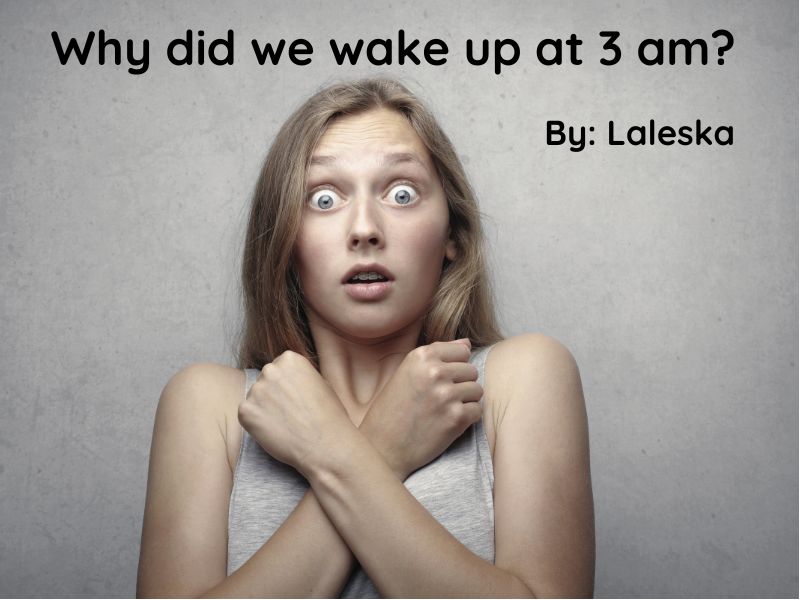 Why did we wake up at 3 am? by Laleska Article