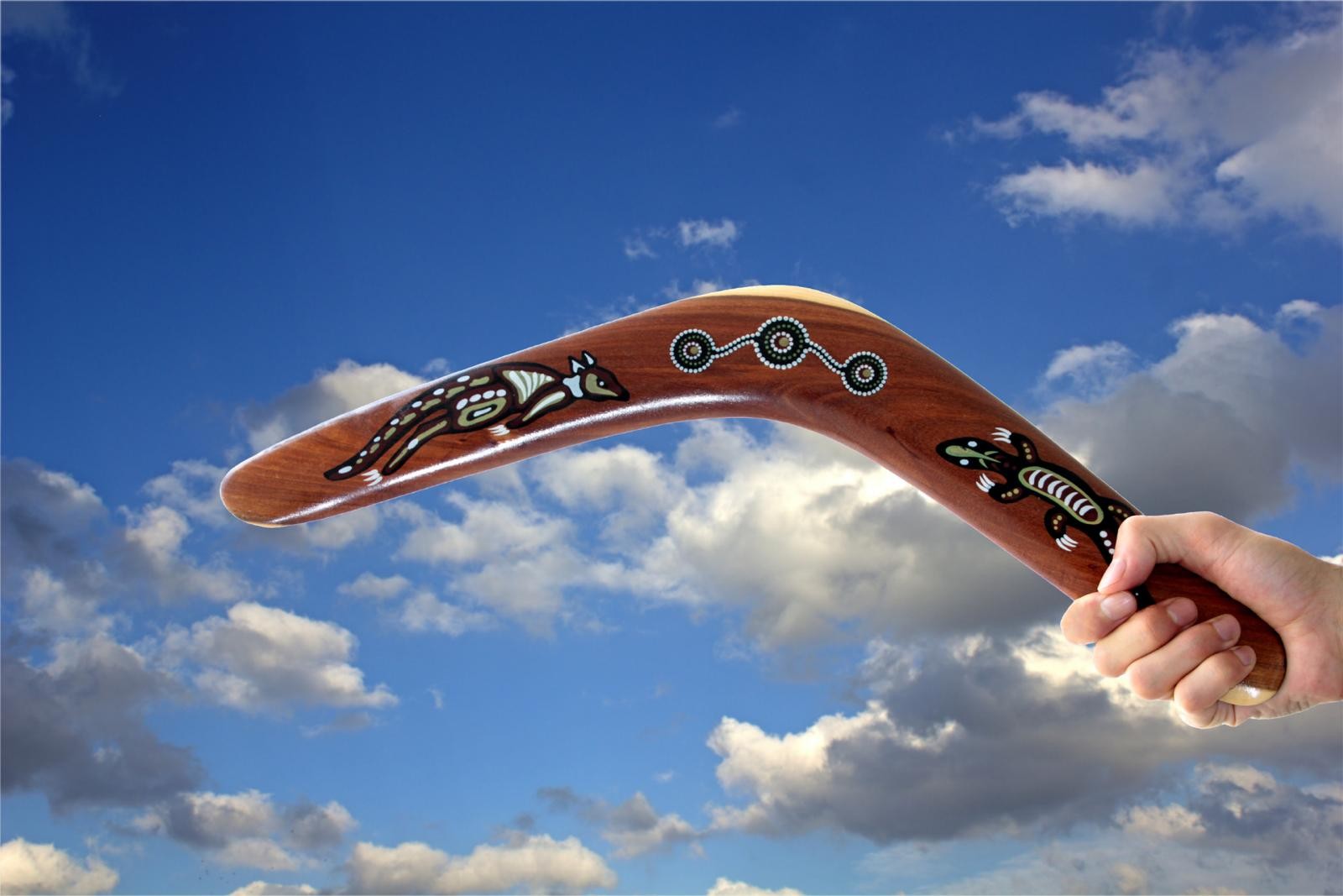How Does a Boomerang Work? by byex0 Article
